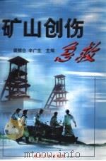 矿山创伤急救（1999 PDF版）