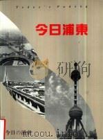 今日浦东（ PDF版）