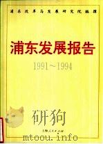 浦东发展报告  1991-1994（1994 PDF版）