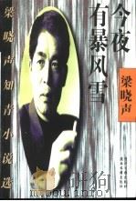 今夜有暴风雪  梁晓声知青小说选（1997 PDF版）