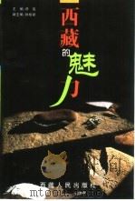 西藏的魅力 1999 PDF电子版封面 7223009853 邓侃主编
