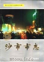 沙市市志  第2、3卷（1999 PDF版）