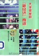 大洋彼岸的“新经济”奇迹（1998 PDF版）
