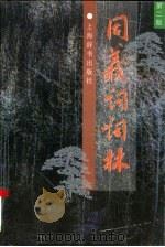 同义词词林  第2版（1996 PDF版）