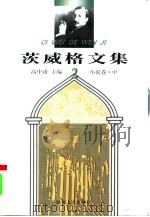 茨威格文集  2  小说卷  中（ PDF版）
