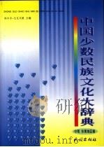 中国少数民族文化大辞典 中南、东南地区卷 1999 PDF电子版封面 7105033894 铁木尔·达瓦买提主编