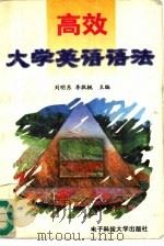 高效大学英语语法（1996 PDF版）