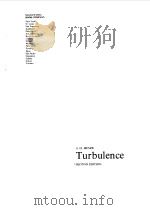 TURBULENCE 1975 PDF电子版封面 J.O.HINZE
