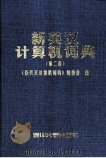 新英汉计算机词典  第2版（1999 PDF版）