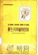 野生药用植物图说（1959 PDF版）