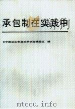 承包制在实践中（1988 PDF版）