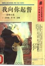 我向你起誓  爱情小说（1993 PDF版）