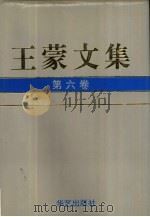 王蒙文集 第6卷 1993 PDF电子版封面 7800398161 郭友亮,孙波主编