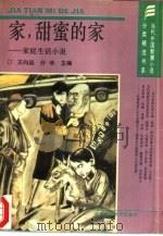 家，甜蜜的家  家庭生活小说（1993 PDF版）