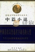 鲁迅文学奖获奖作品丛书  中篇小说（1998 PDF版）