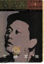 王朔文集  挚情卷（1992 PDF版）