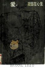 爱，凝固在心里（1986 PDF版）
