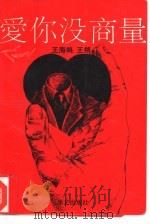 爱你没商量（1992 PDF版）