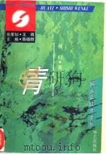 青苔 1995 PDF电子版封面 7800397688 林白著