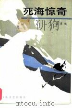 死海惊奇（1987 PDF版）