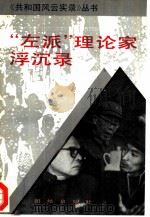 “左派”理论家浮沉录（1993 PDF版）