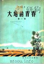 大地的青春  第1部（1963 PDF版）