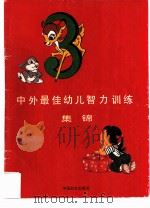 中外最佳幼儿智力训练集锦（ PDF版）