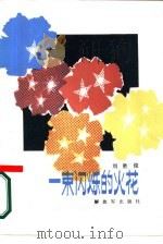 一束闪烁的火花（1987 PDF版）
