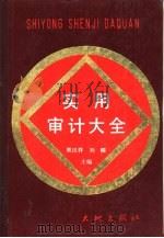 实用审计大全  上（1988 PDF版）