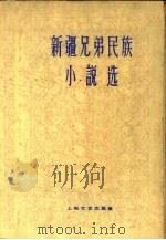 新疆兄弟民族小说选（1960 PDF版）