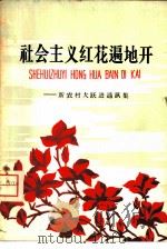 社会主义红花遍地开  新农村大跃进通讯集（1958 PDF版）