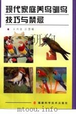 现代家庭养鸟驯鸟技巧与禁忌（1999 PDF版）