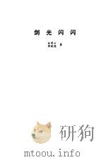 剑光闪闪（1981 PDF版）