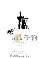 虎皮武士（1984 PDF版）