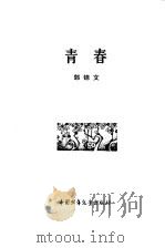 青春（1979 PDF版）