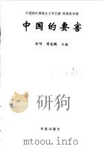 中国的要害 1999 PDF电子版封面 7508016165 周明,傅溪鹏主编