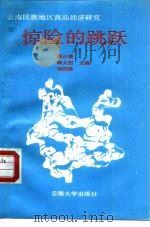 惊险的跳跃  云南民族地区商品经济研究（1991 PDF版）