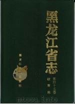 黑龙江省志 第45卷 教育志 1996 PDF电子版封面 7207036442 黑龙江省地方志编纂委员会编