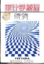 审计学原理（1996 PDF版）