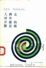 大西北对外开放的新思路（1989 PDF版）