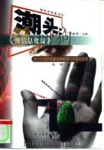 潮头  全维信息化战争  21世纪初叶全球战争展望与中国的前景（1999 PDF版）