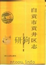 自贡市贡井区志（1995 PDF版）