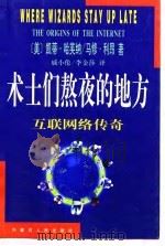 术士们熬夜的地方  互联网络传奇（1997 PDF版）