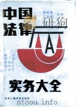 中国法律实务大全 1992 PDF电子版封面 7810043560 阎建国,王洪祥主编