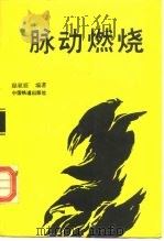 脉动燃烧（1994 PDF版）