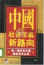 中国社会主义新路向  第一个社会主义国家消失之后（1995 PDF版）