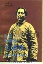 走出困境的毛泽东 土地革命战争的历史报告 1995 PDF电子版封面 7211022671 蒋伯英著