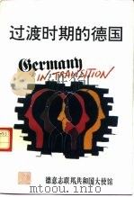 过渡时期的德国 《代达罗斯》1994年冬季专刊 1994 PDF电子版封面 迈克尔·默特斯等