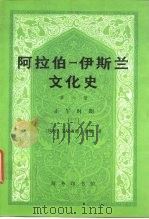 阿拉伯-伊斯兰文化史  第6册  正午时期  2（1999 PDF版）