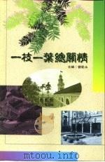一枝一叶总关情（1993 PDF版）